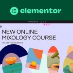 Elementor Pro 3.31.0 Beta – WordPress Page Builder Plugin