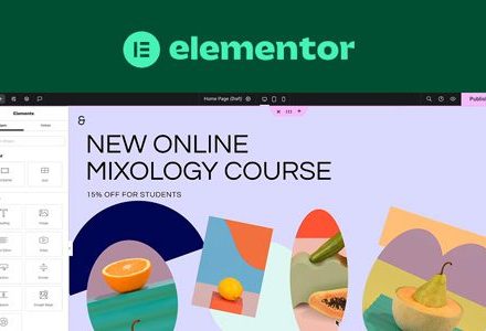 Elementor Pro 3.31.0 Beta – WordPress Page Builder Plugin