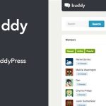 Buddy 2.23.1 – Simple WordPress & BuddyPress Theme