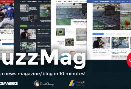 BuzzMag 2.3.0 – Viral News WordPress Magazine/Blog Theme