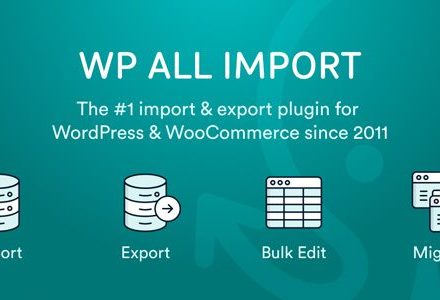 WP All Import – ACF Add-On 3.4.0