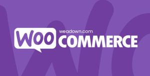 WooCommerce Follow-Ups Emails 4.9.51
