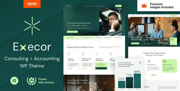 Execor 19 – Accounting and Management Consulting WordPress Theme