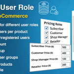 Prices By User Role for WooCommerce 5.2.1.1