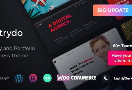 Trydo 1.6.2 – Agency & Portfolio Theme