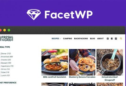 FacetWP 4.4.1 + Addons – Advanced Filtering for WordPress