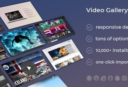 DZS Video Gallery 12.29 – WordPress Plugin YouTube, Vimeo, Facebook Pages