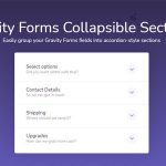 Gravity Forms Collapsible Sections 1.3.2