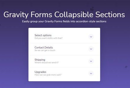 Gravity Forms Collapsible Sections 1.3.2