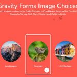 Gravity Forms Image Choices 1.6.11