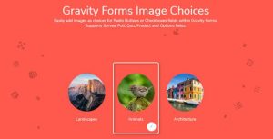 Gravity Forms Image Choices 1.6.11