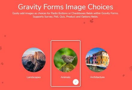 Gravity Forms Image Choices 1.6.11