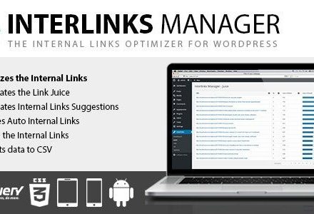 Interlinks Manager 1.41 – Internal Links Optimizer for WordPress
